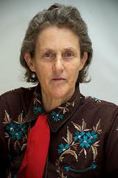 Imagem da prpria Temple Grandim